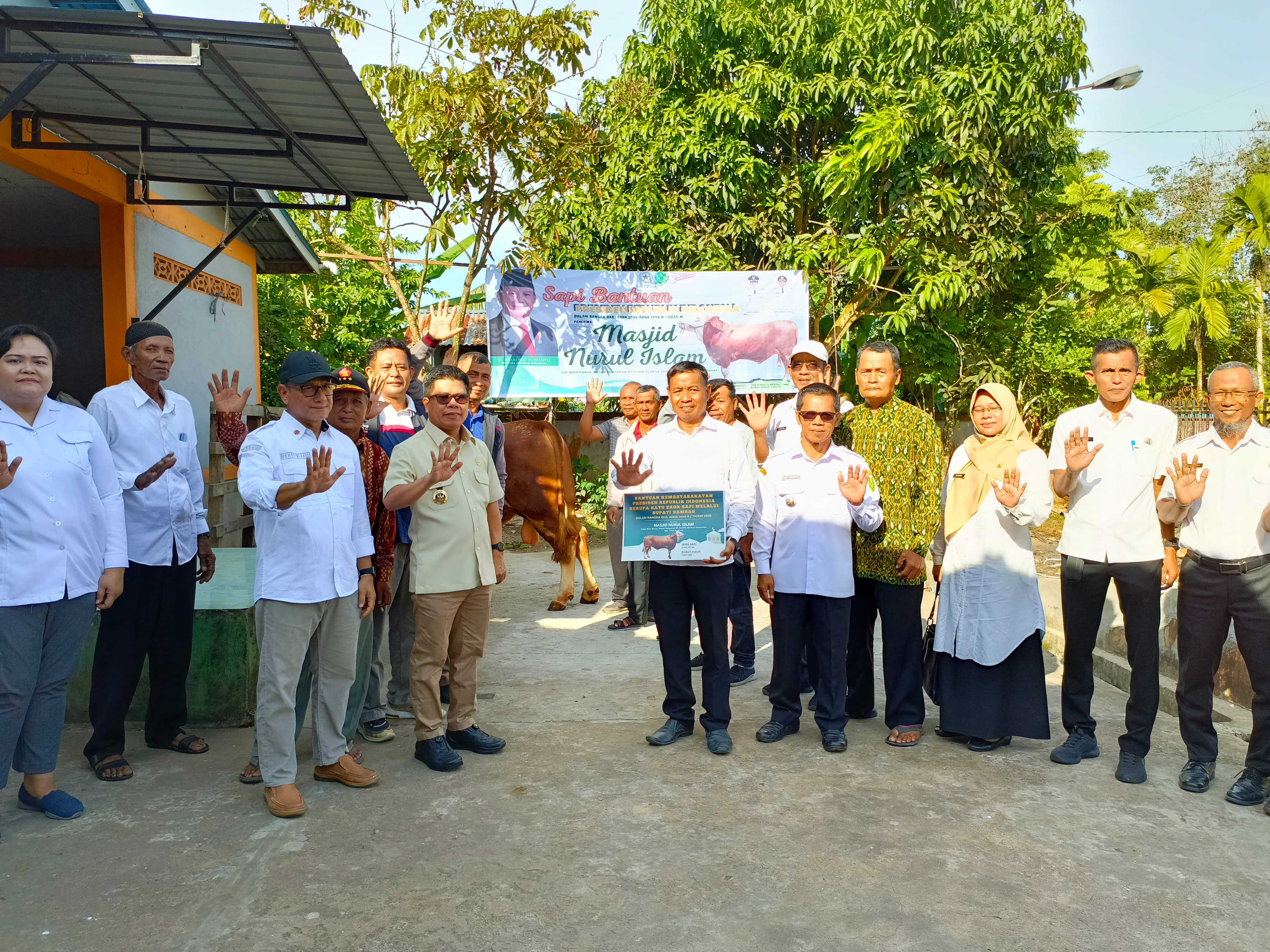 Jelang Idul Adha, Sambas Terima Bantuan Sapi Simental 1 Ton Dari Presiden