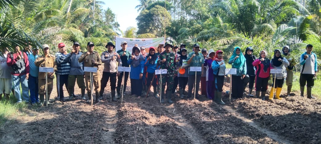 Komitmen Kecamatan Tangaran Dukung Penanaman Jagung