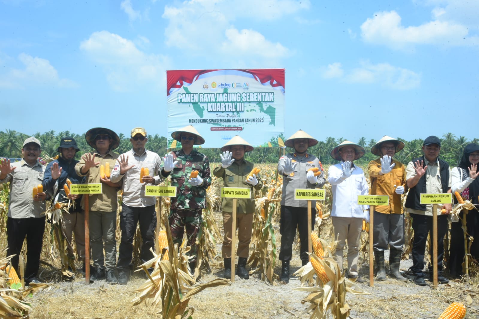 Bupati Sambas Satono Ikuti Panen Raya Jagung Serentak di Desa Simpang Empat