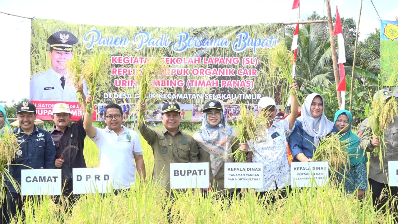 Panen Perdana Padi Varietas Inpari 37 Desa Gelik, Bupati Harapkan Semangat Petani Tidak Surut